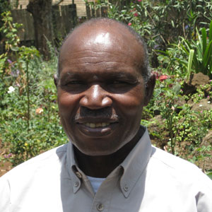 Faustino Ringe Senior Advisor